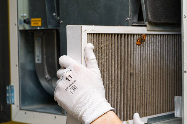 Best Ventilation Cleaning Services  in Gautier, MS
