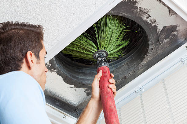 Best Professional Duct Cleaning Services  in Gautier, MS